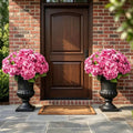 Turn Your Porch Into A Vibrant, Luxury Garden Instantly! 🌸✨